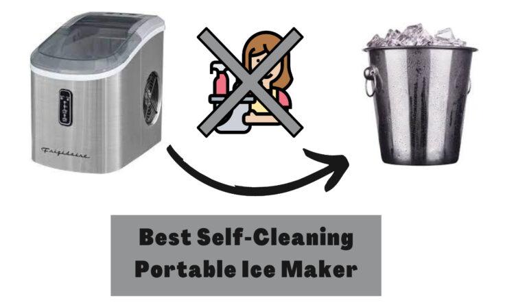 Which Is the Best Self-Cleaning Portable Ice Maker?
